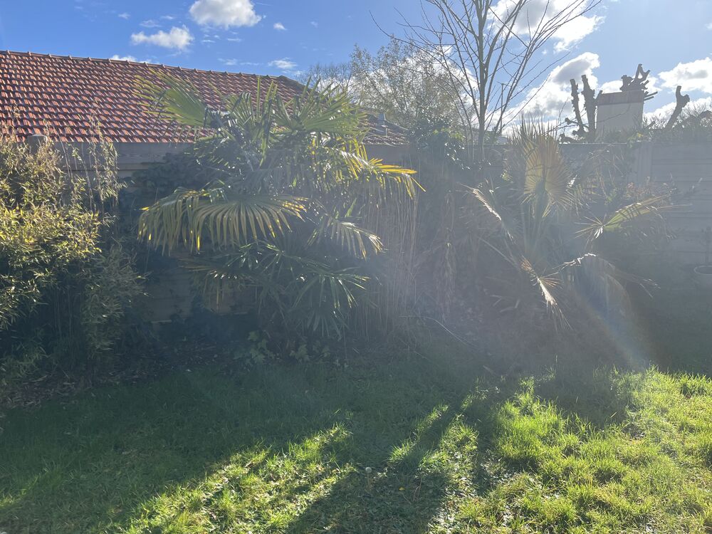 Maison avec jardin