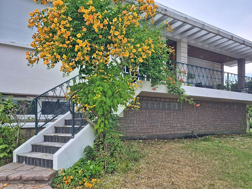 Maison T6