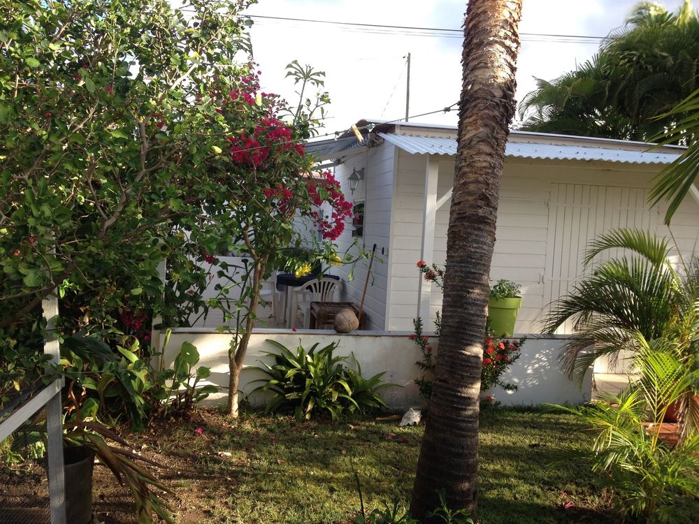 Bungalow, terrasse ; jardin