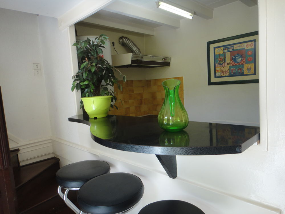 DUPLEX MEZZANINE 45m2 meublé CARNOT- J.JAURES PARKING