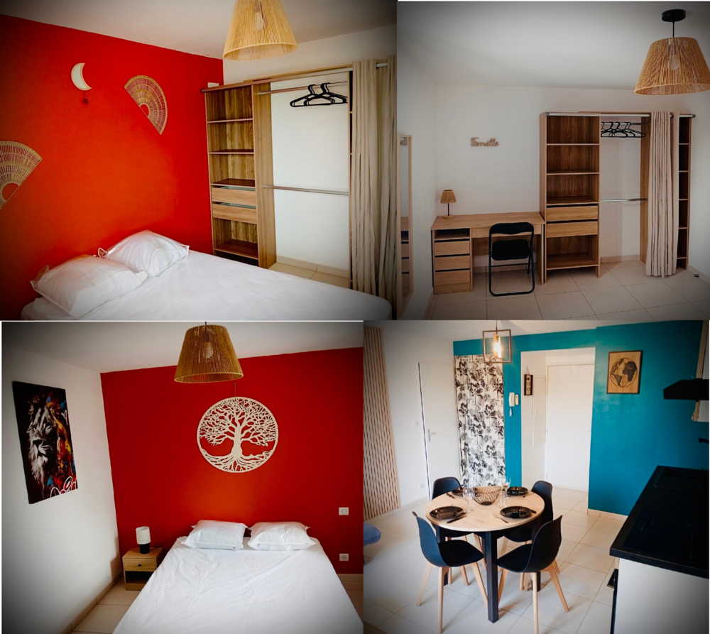 T3 rénové, meublé, clim réversible, 56 m², Castres Gare