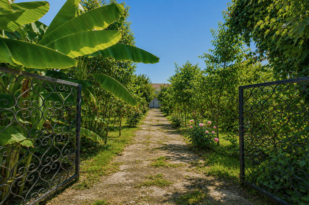 Bordeaux Maritime. Vaste maison bordelaise avec grand jardin
