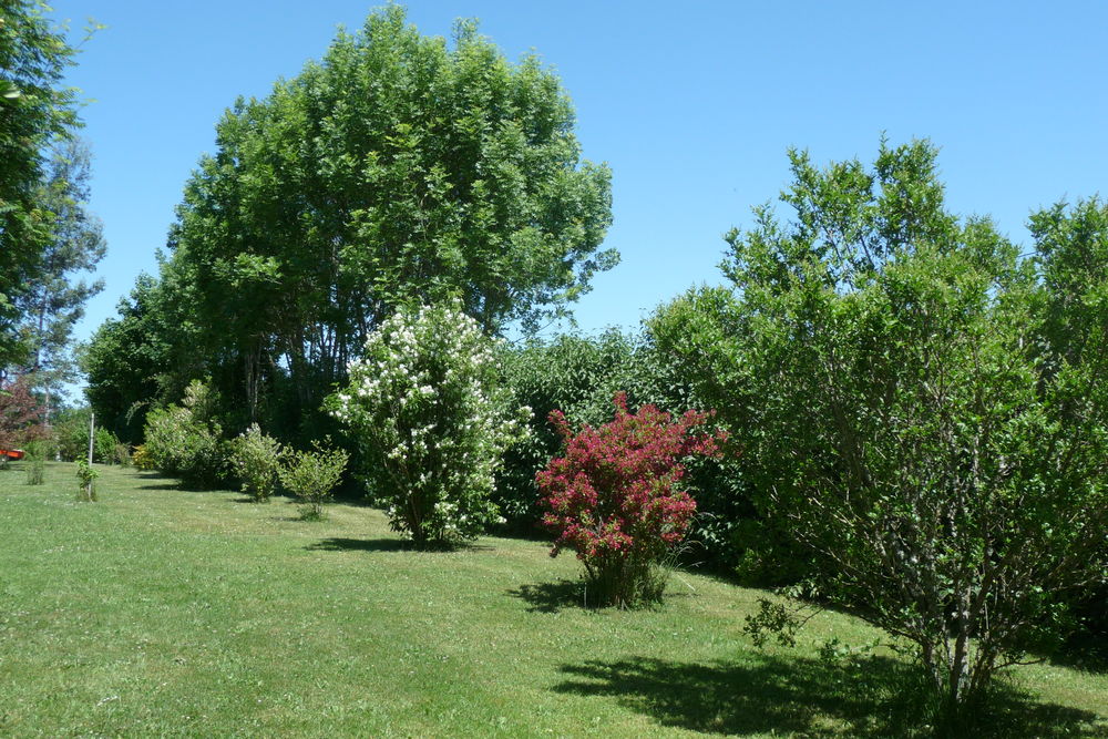 Superbe Propriété avec Parc arboré et dépendances