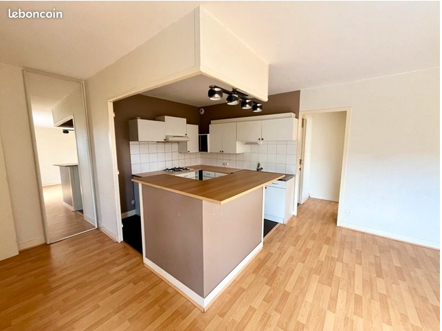 Grand T2 de 50m2 en ville