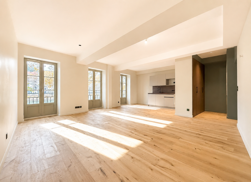T4 - 101 m2 - Rénové - climatisé - Vue Saone - Quai