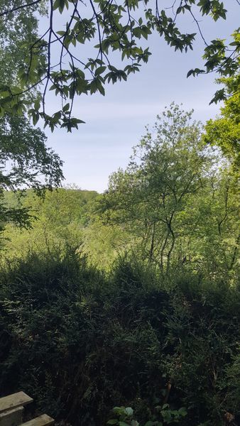 Maisonnette 16 m2, pleine campagne, très tranquille