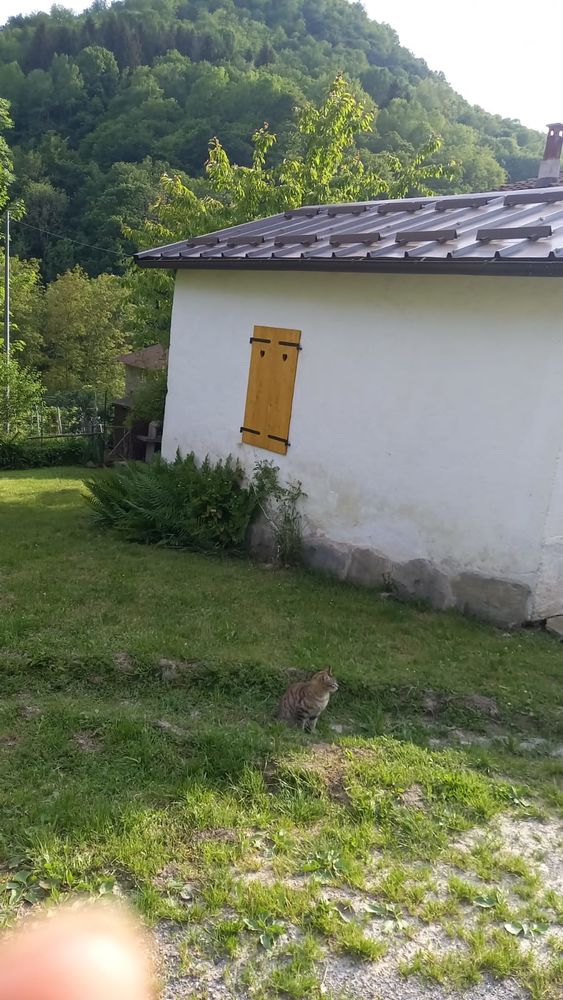 Maison et cabanon à valloriate Italie