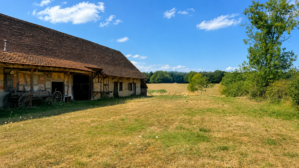 Corps de ferme bressan à réhabiliter - terrain 3 887 m²