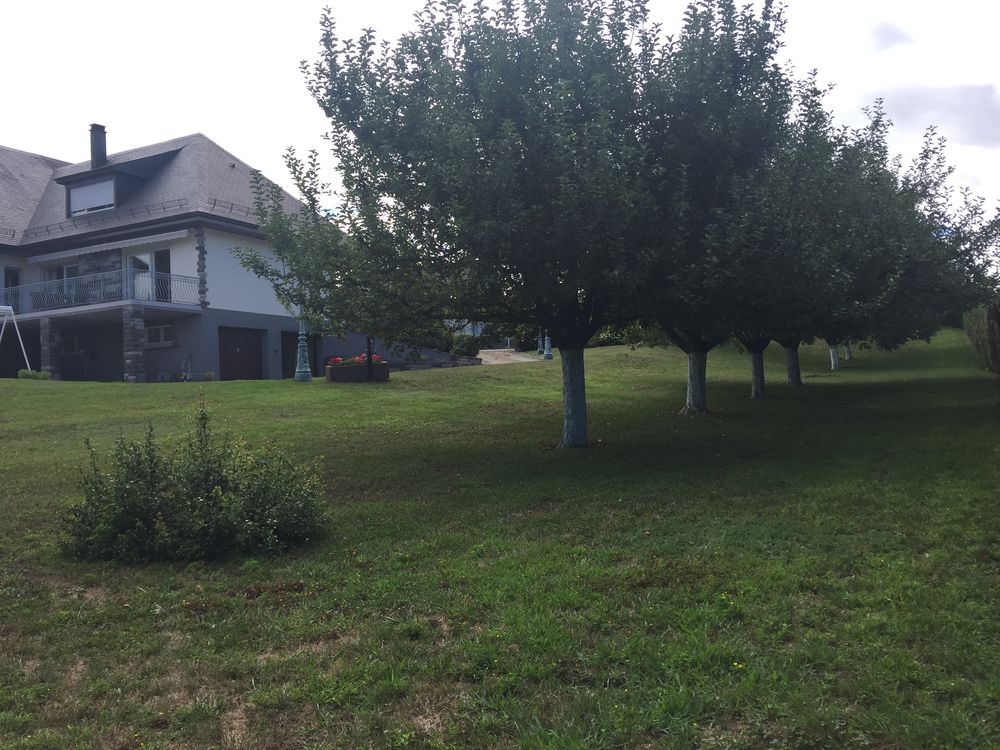 Villa viager Mulhouse