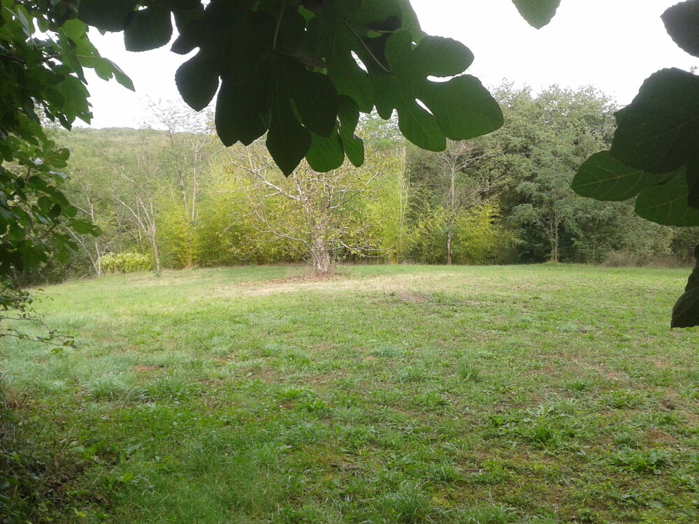 PROPRIETE ARBOREE ET CLOTUREE + DEPENDANCES CALME ASSURE