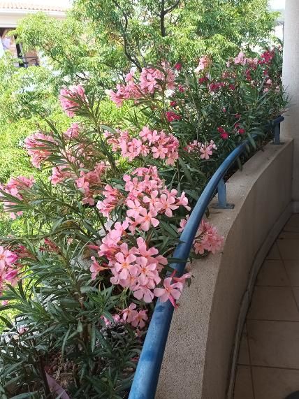 appartement F2 - DRAGUIGNAN - VAR -
