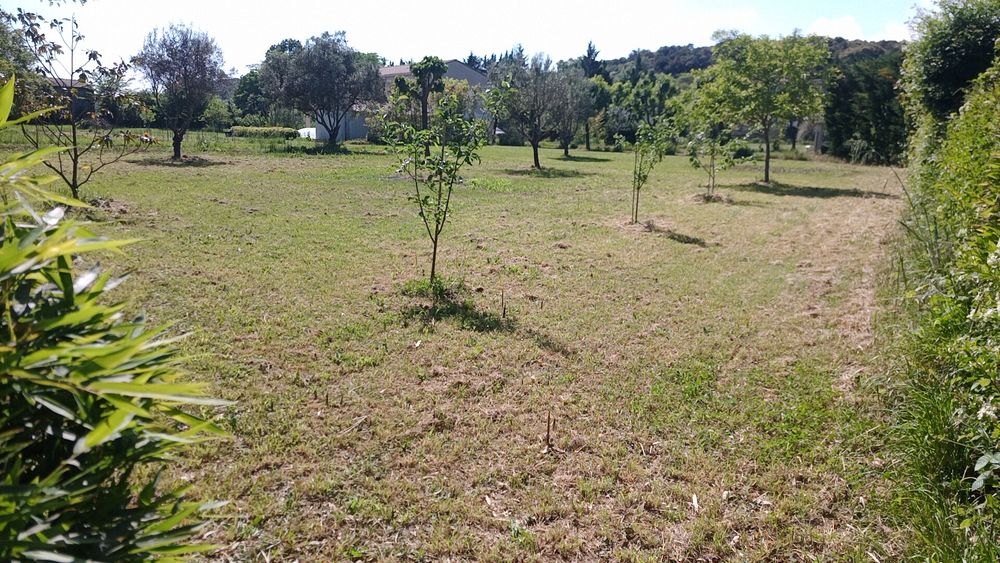 Propriété de 5732 m2 avec une parcelle constructible