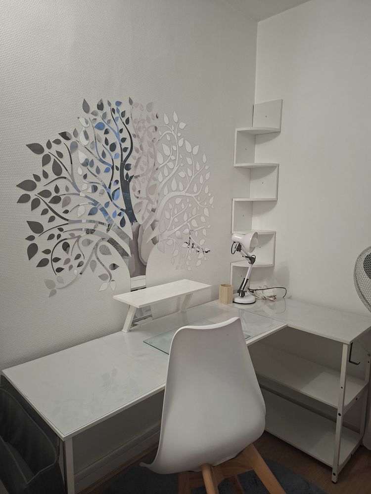 Jolie chambre meublée à une étudiante ? Lyon 5? ?