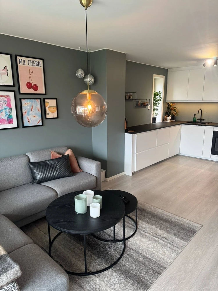Bel appartement 45m² lumineux, agréable