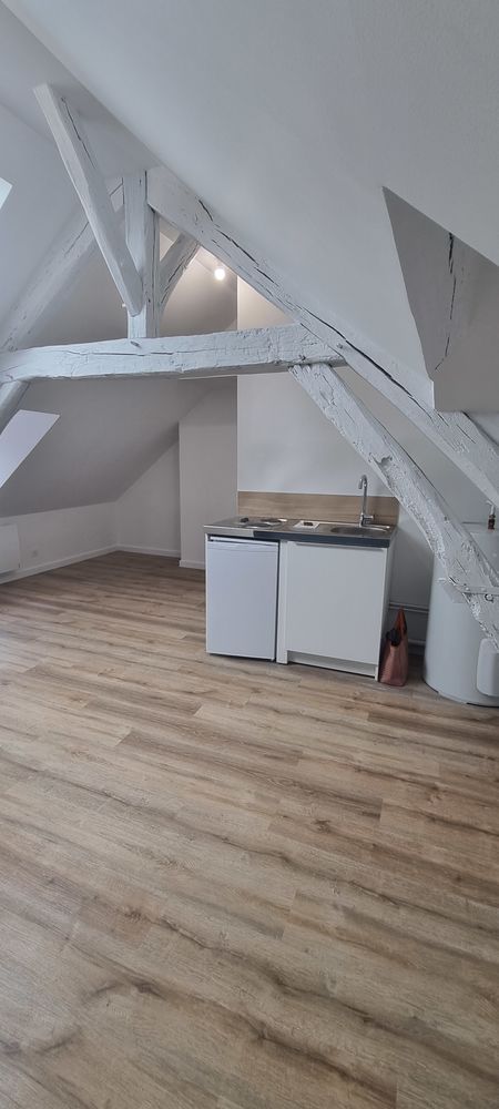STUDIO 25M² A VILLENEUVE SUR YONNE