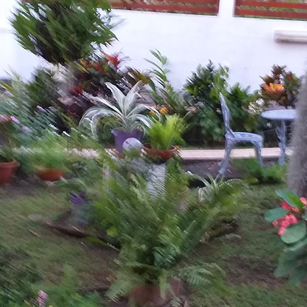 bas de villa
