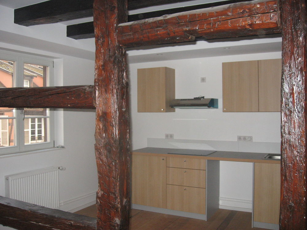 Colmar 68000 Proche Petite Venise F4 701€ 66m2