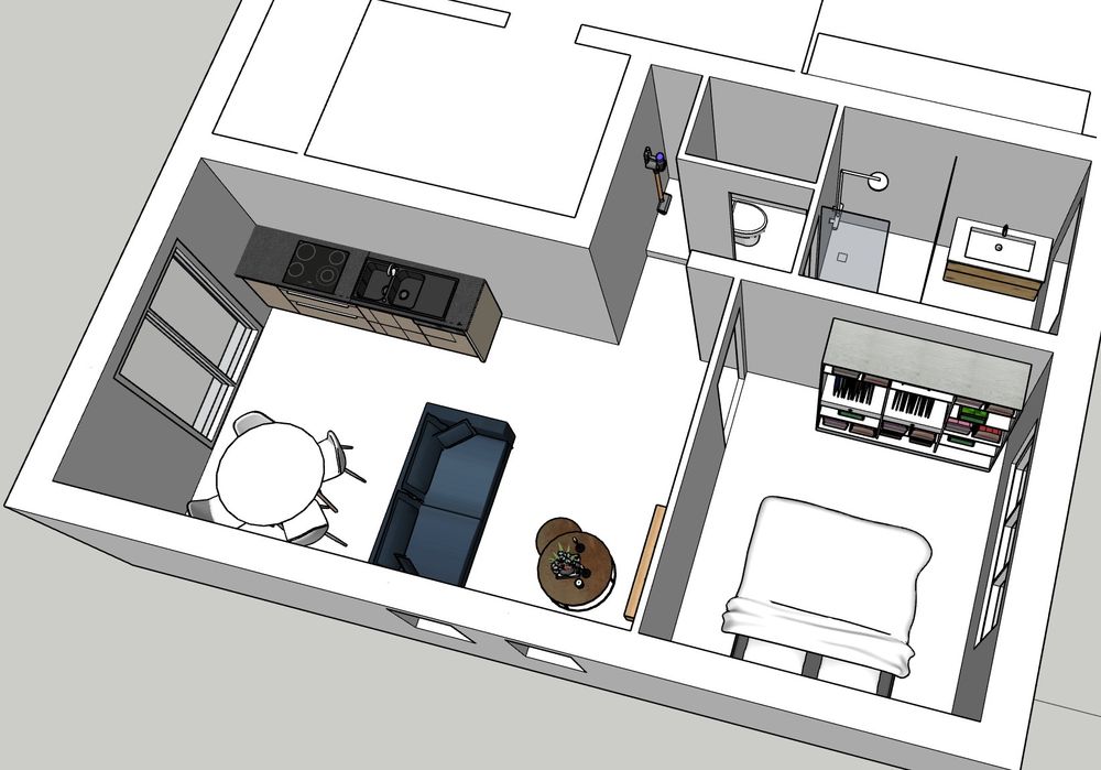 Plateau Appartement 39 m² Traversant Lumineux
