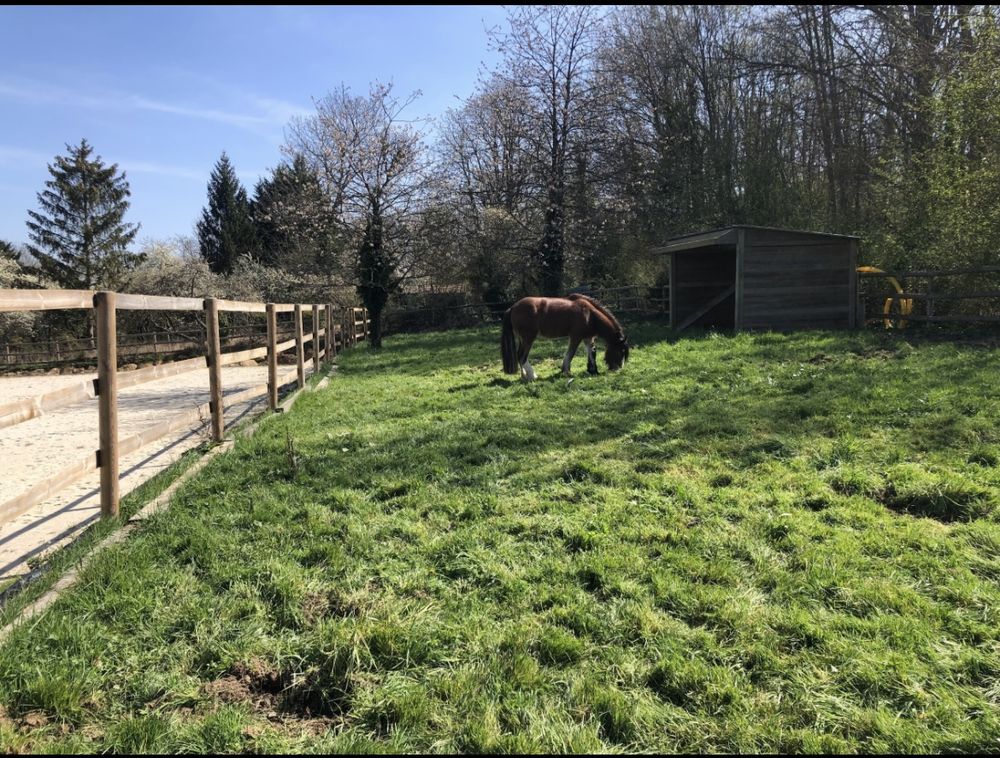 Grande maison briarde 2 logements sur 3,5 hectares attenants