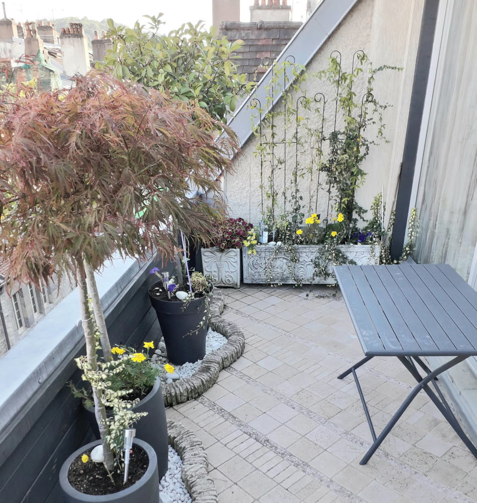 Titre : Unique en Viager Libre 5 pièces, 133 m² BESANCON