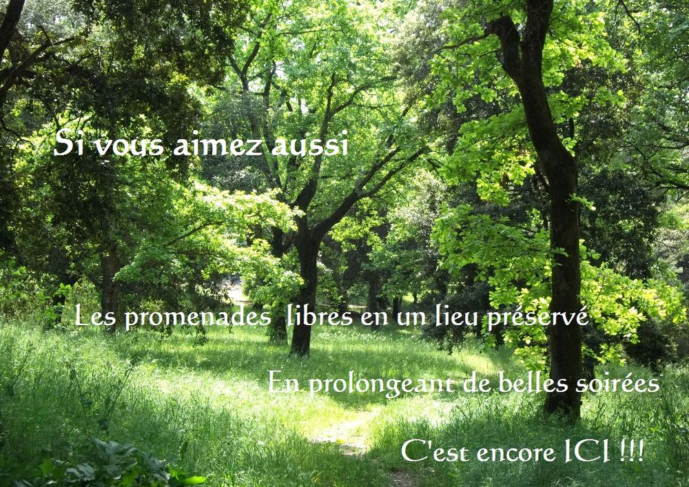 Installez-vous avant l'hiver !