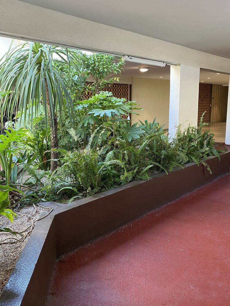 appartement 3 pièce - Dans quartier sécurisé à Cimiez