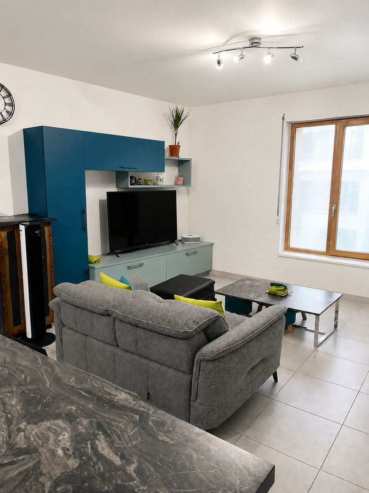 Appartement T4 79m2 Nantes StDonatien - Jardin des plantes