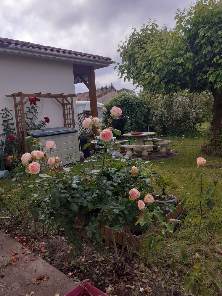 maison indépendante t sur terrain 2500m2