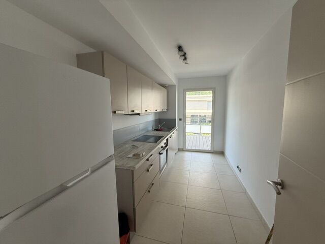 appartement terrasse entre David et parc Borely 13008
