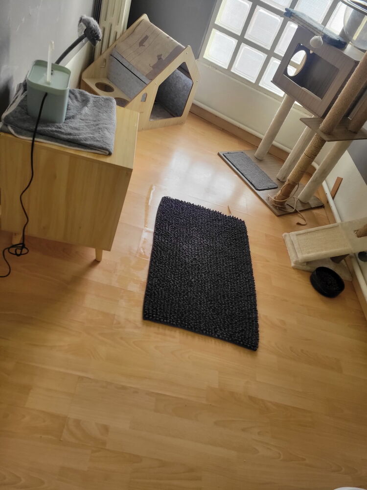 Appartement T2