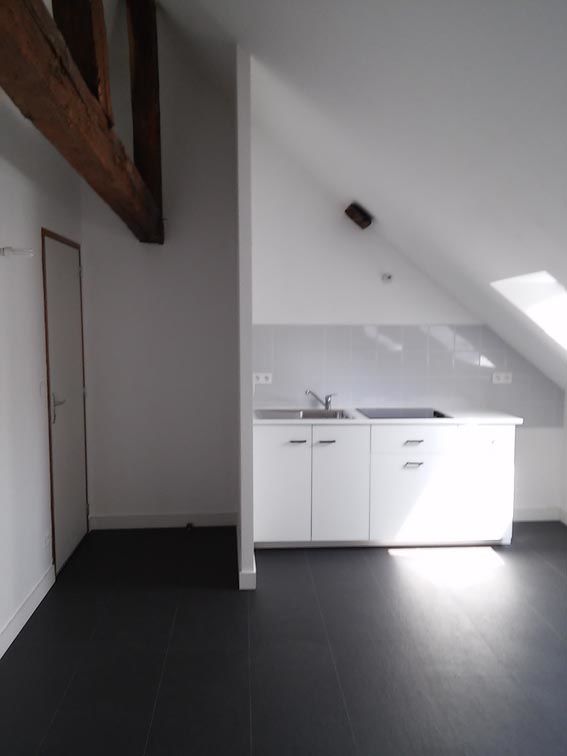 Nantes CHU T1 bis 29 m2 Carrez, 50 m2 au sol