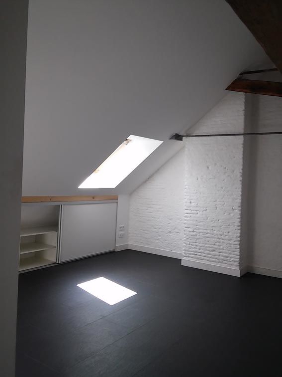 Nantes CHU T1 bis 29 m2 Carrez, 50 m2 au sol