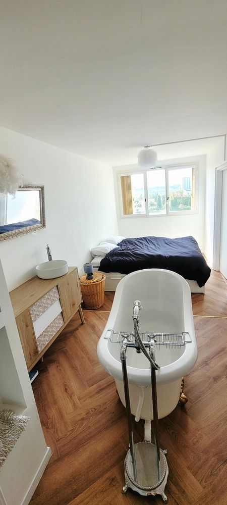 Appartement 2 pièces meublé 53m2- RER D Alfortville