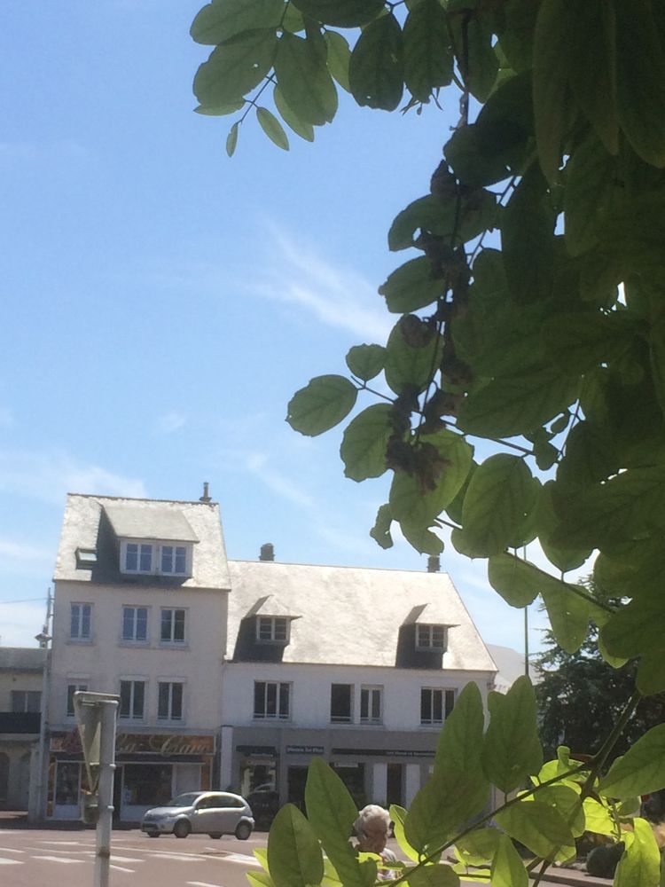 Appartement , centre, Coutainville,
