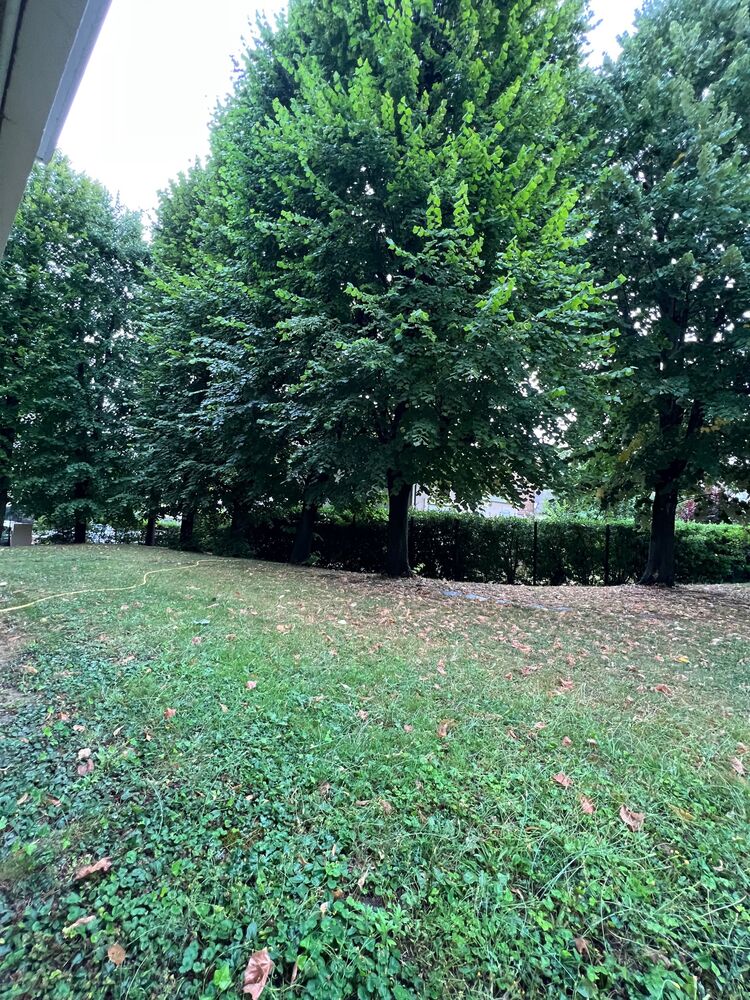 STUDIO SUR VERDURE