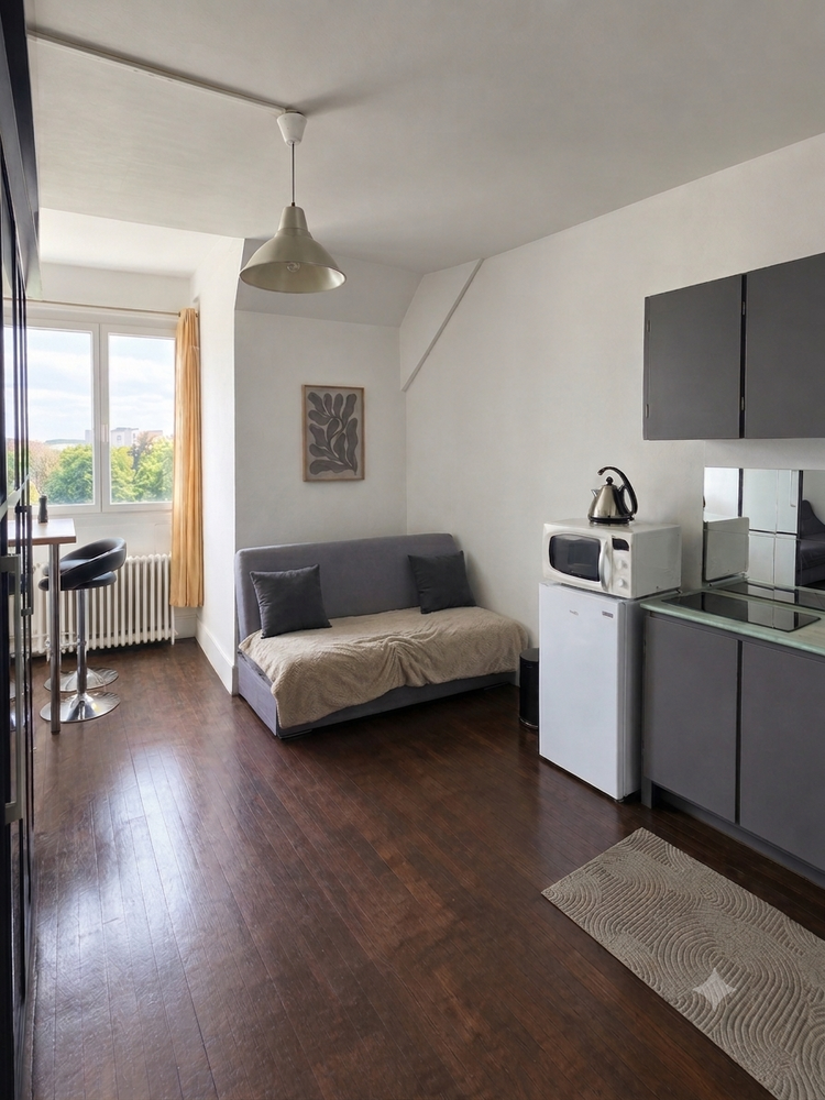 T1 meublé et lumineux 18m² Plein Centre Sedan