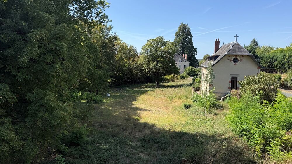 Maison de caractère à rénover avec parc arboré ? Pellevoisin