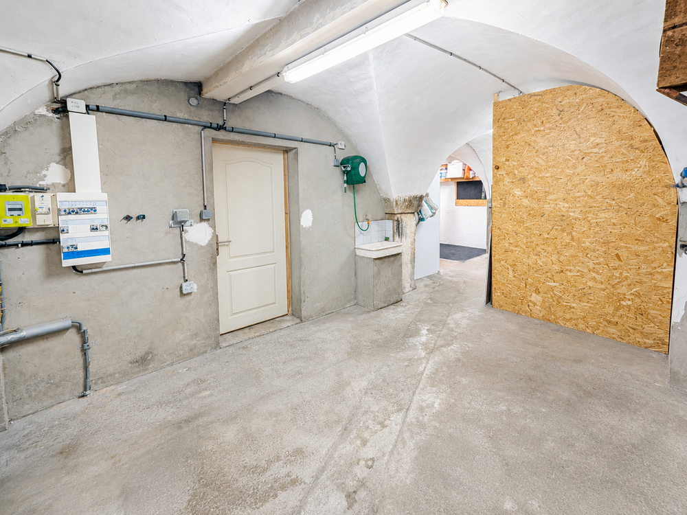 Maison rénovée, terrasse arborée, garage, atelier / bureau