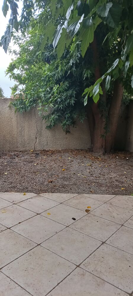 maison en campagne