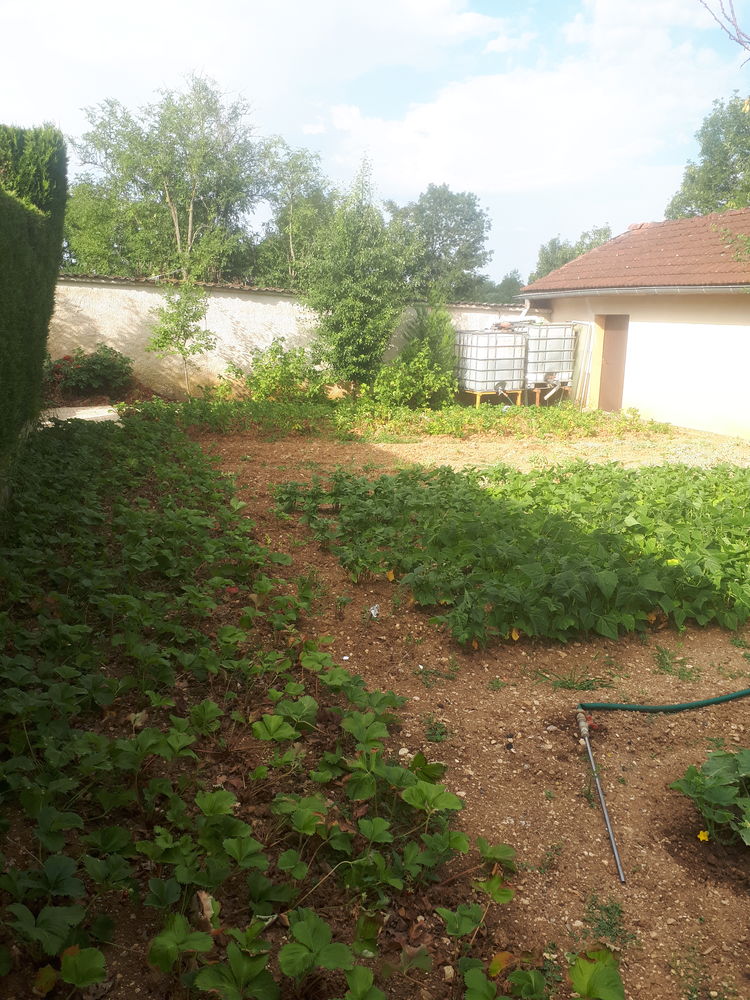 Maison avec terrain