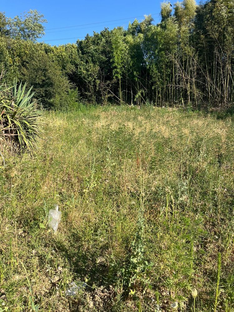 Plateau à rénover, 132 m²