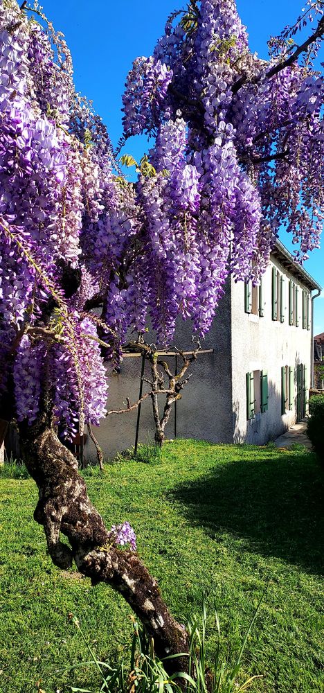 Maison de caractère de 206 m² -Tarn, secteur Carmaux