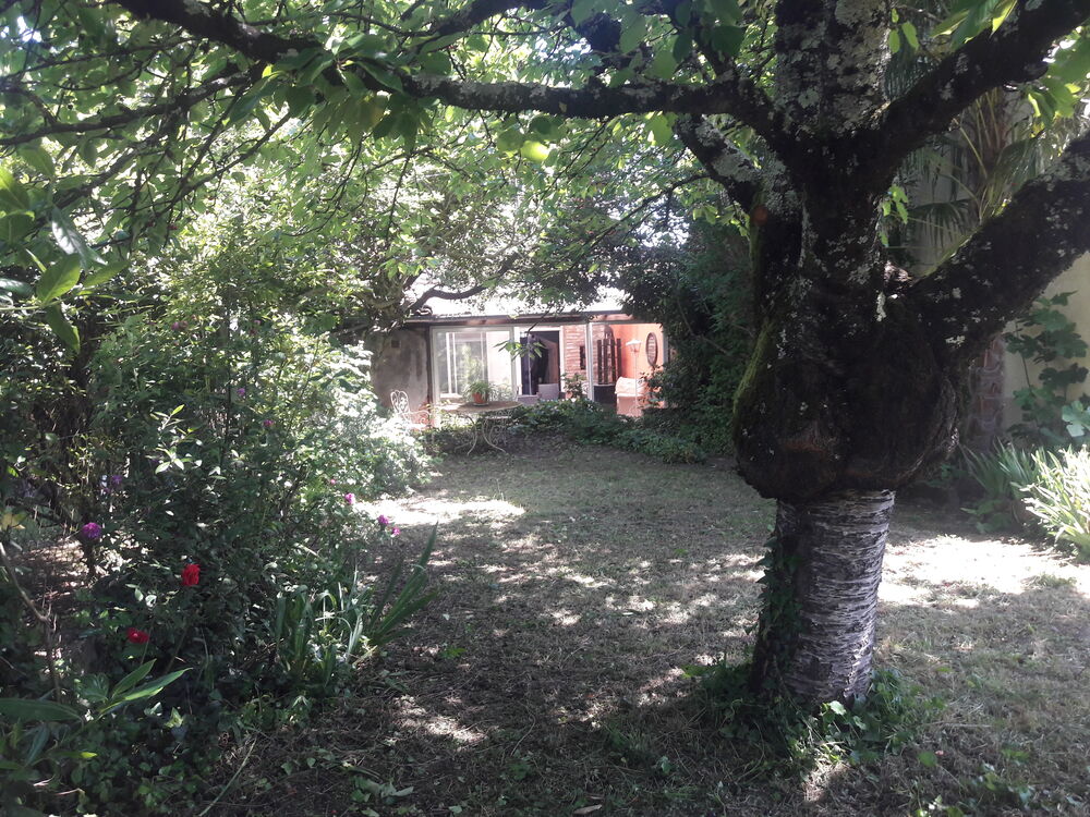 Albi ville Maison de caractère meublée avec jardin