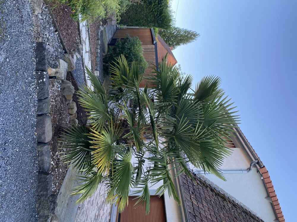 Maison individuelle de part à part A LA CAMPAGNE