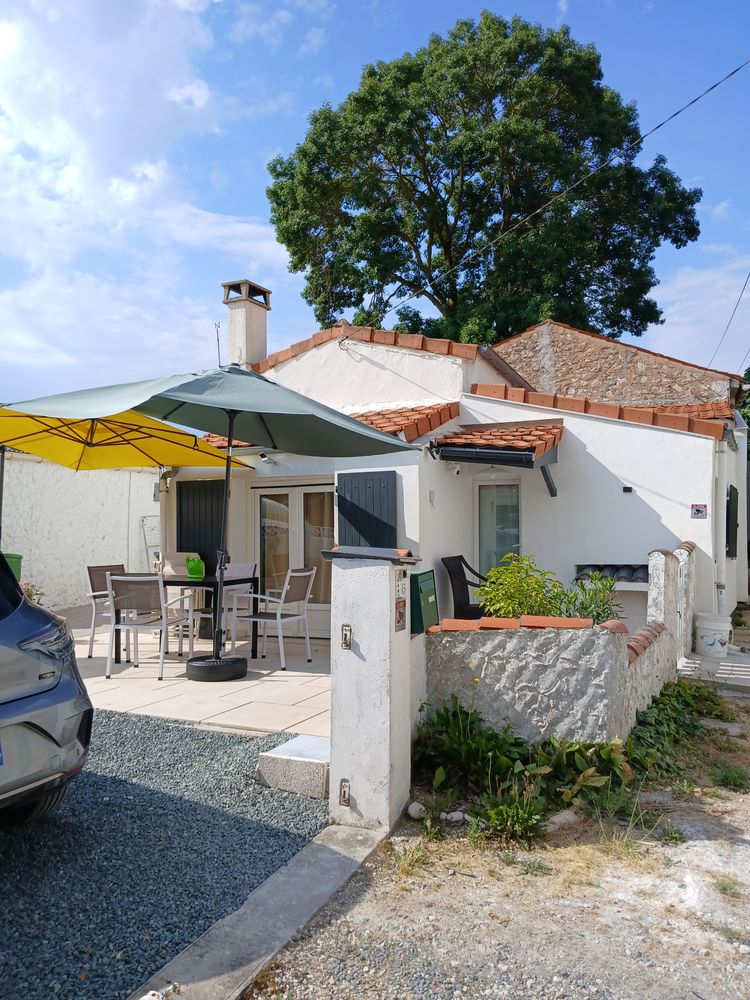 maison plus studio