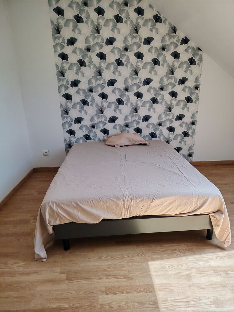 Colocation à 4 chambres