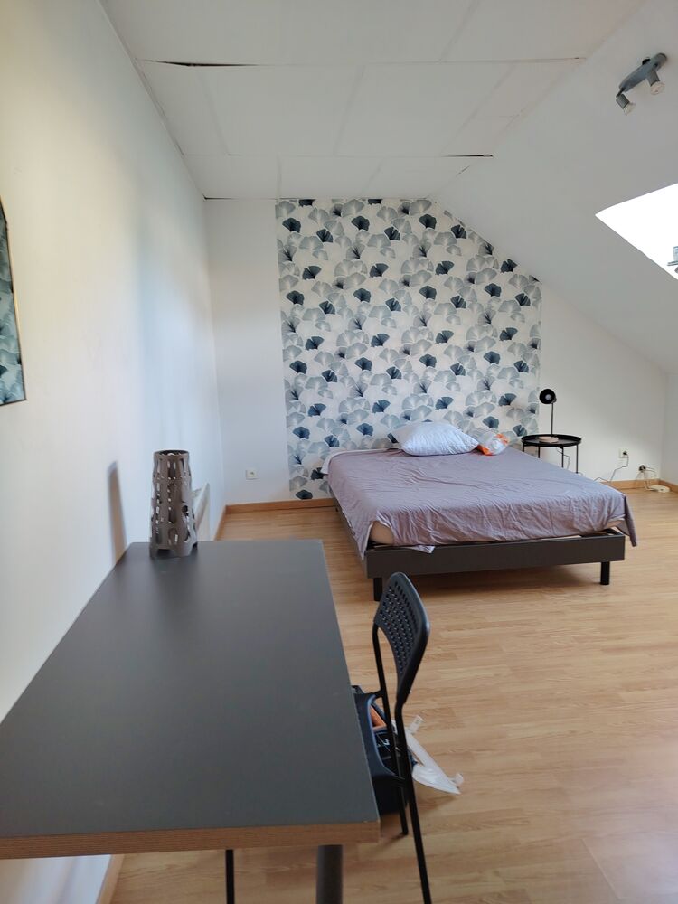 Colocation à 4 chambres