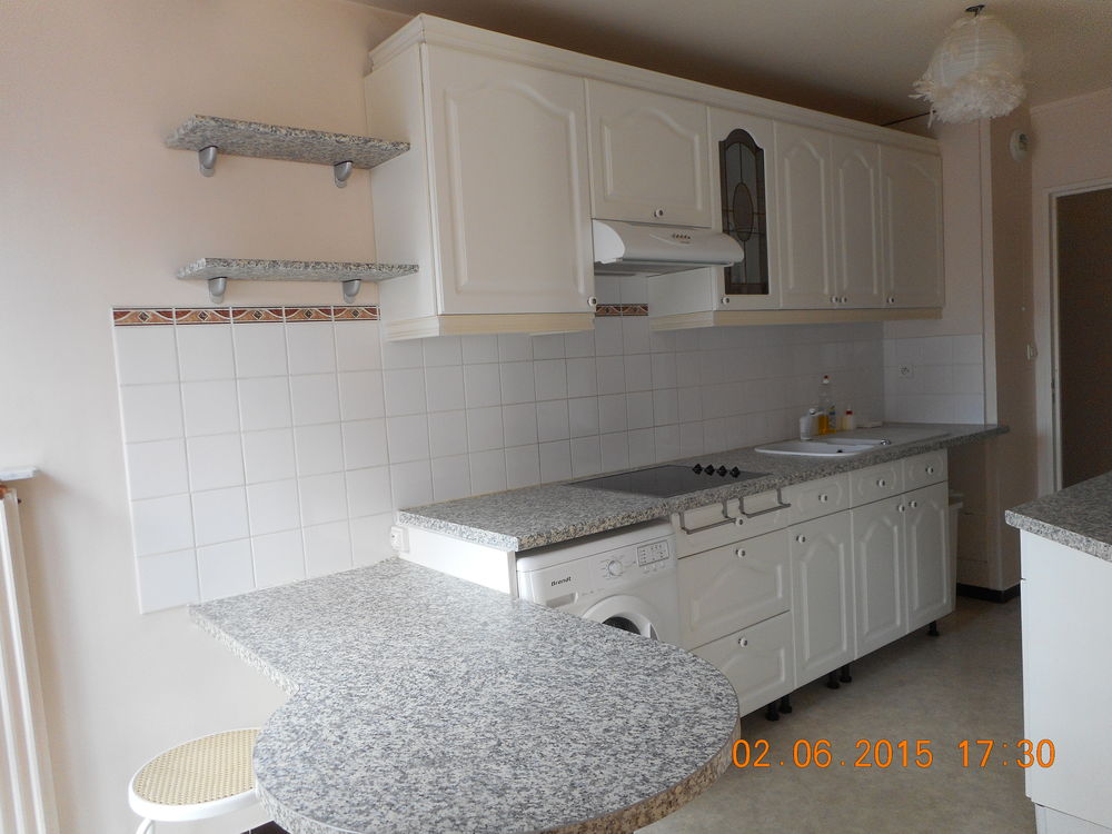 F3 65 m² centre ville TROYES (10)