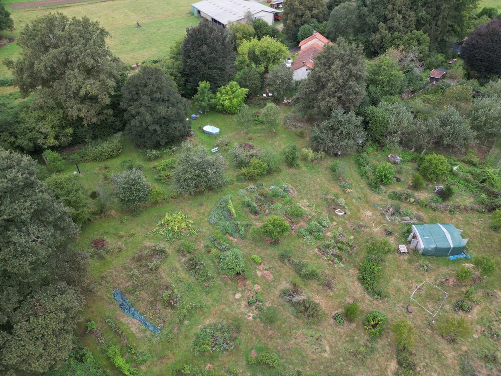 Maison ancienne avec 1 ha de terrain