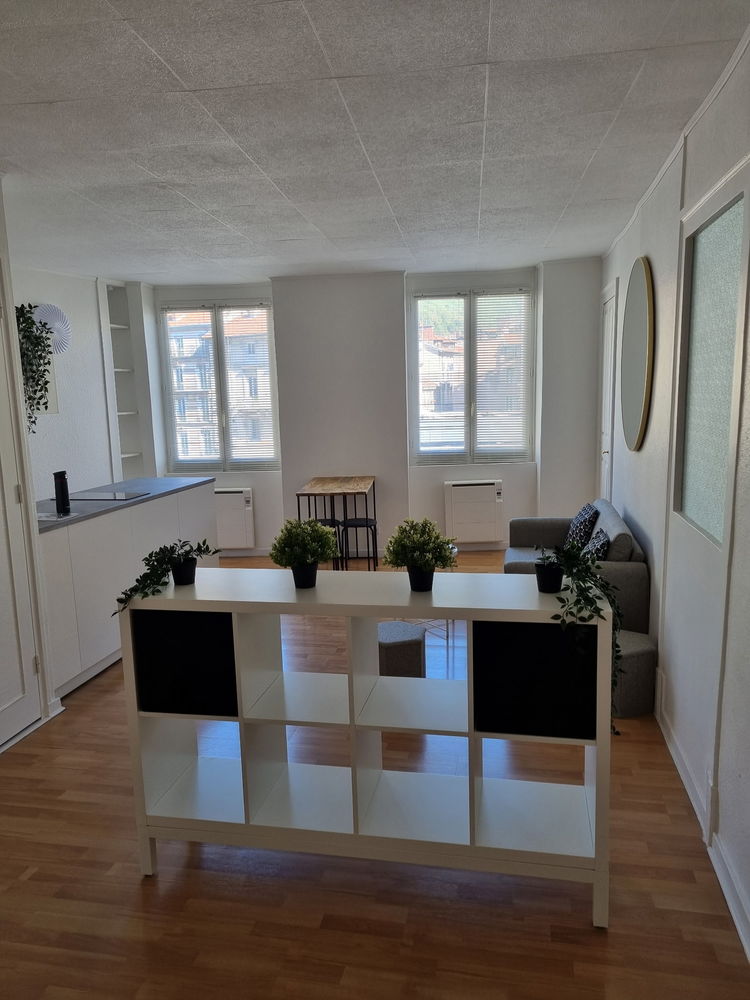 F3 APPARTEMENT MEUBLÉ EN HYPER CENTRE